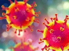 从中医的视角看疫情及冠状病毒的真相！